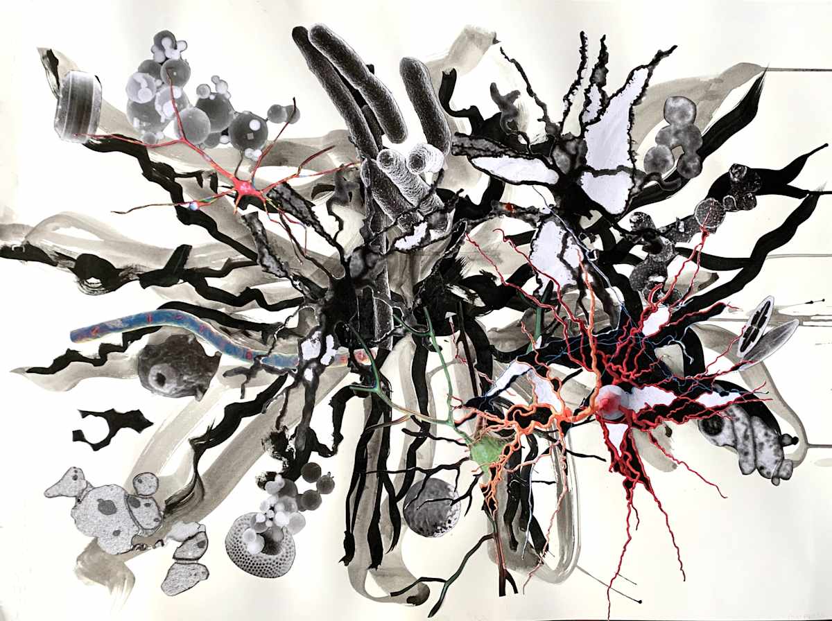 Brains 0876 by Julie Harrison, Image 1.