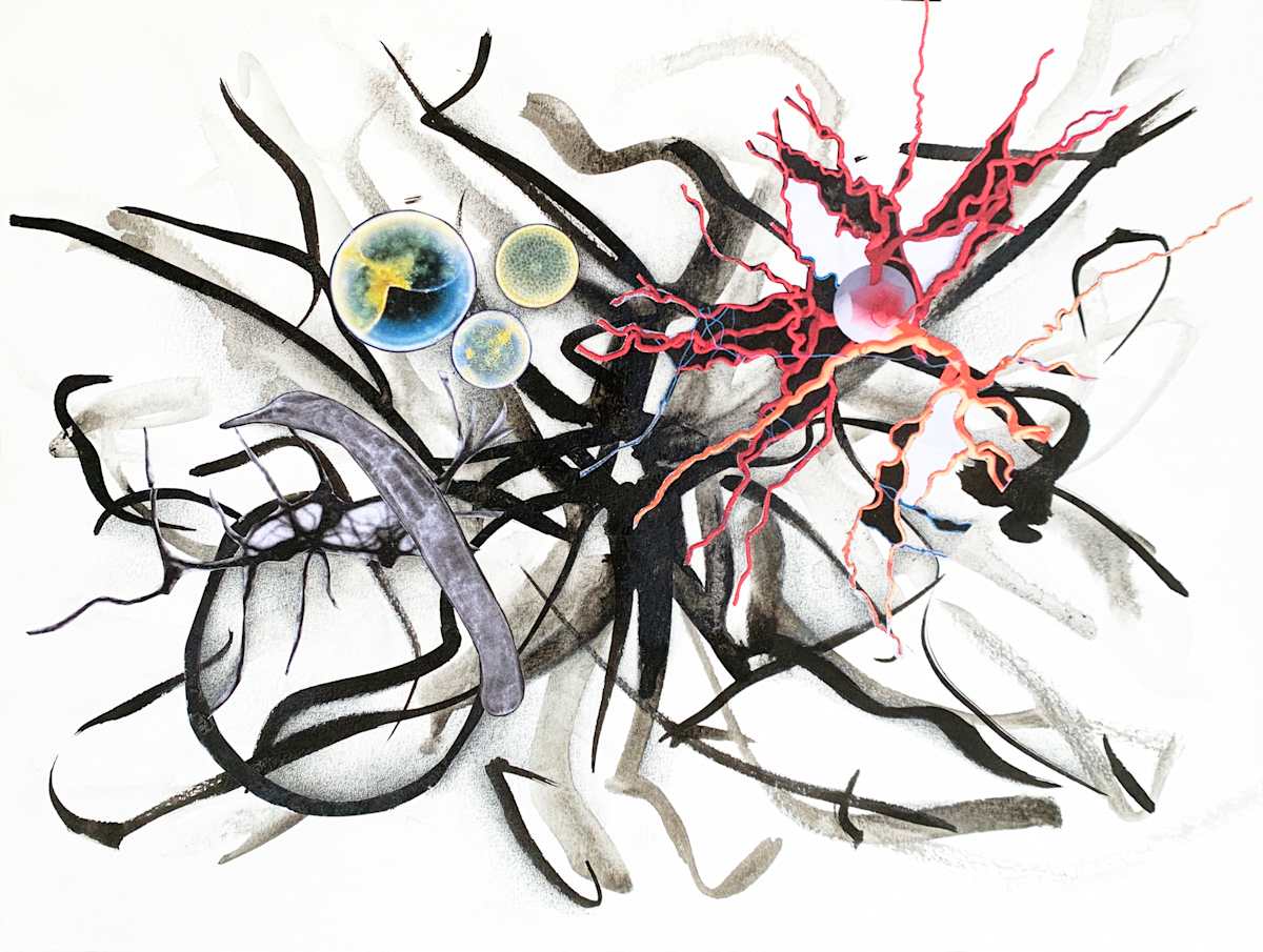Brains 1171 by Julie Harrison, Image 1.