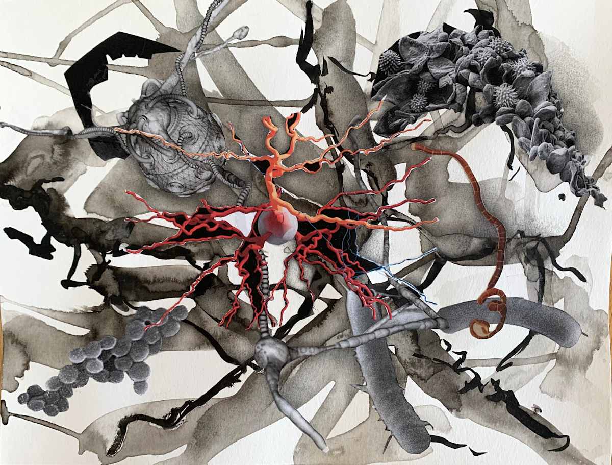 Brains 1809 by Julie Harrison, Image 1.