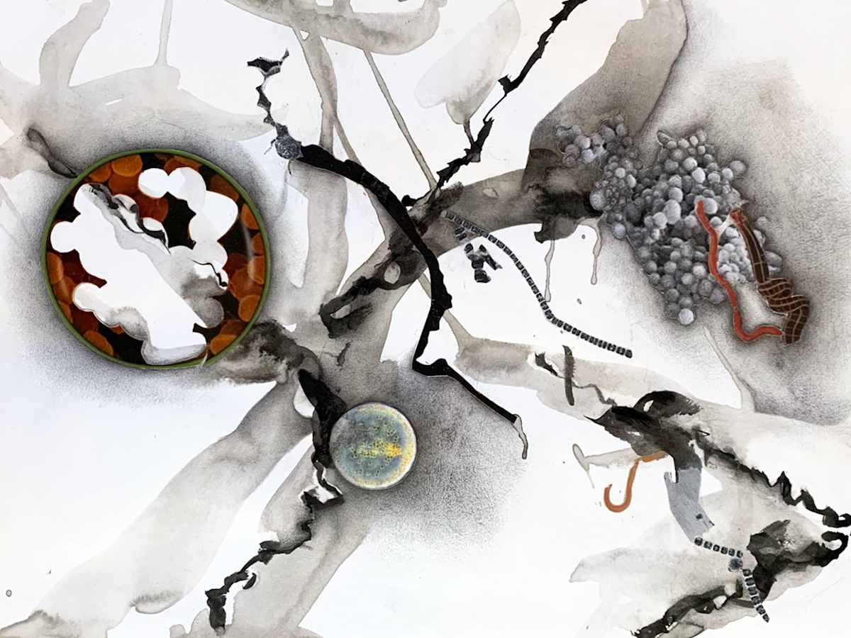 Brains 2723 by Julie Harrison, Image 1.