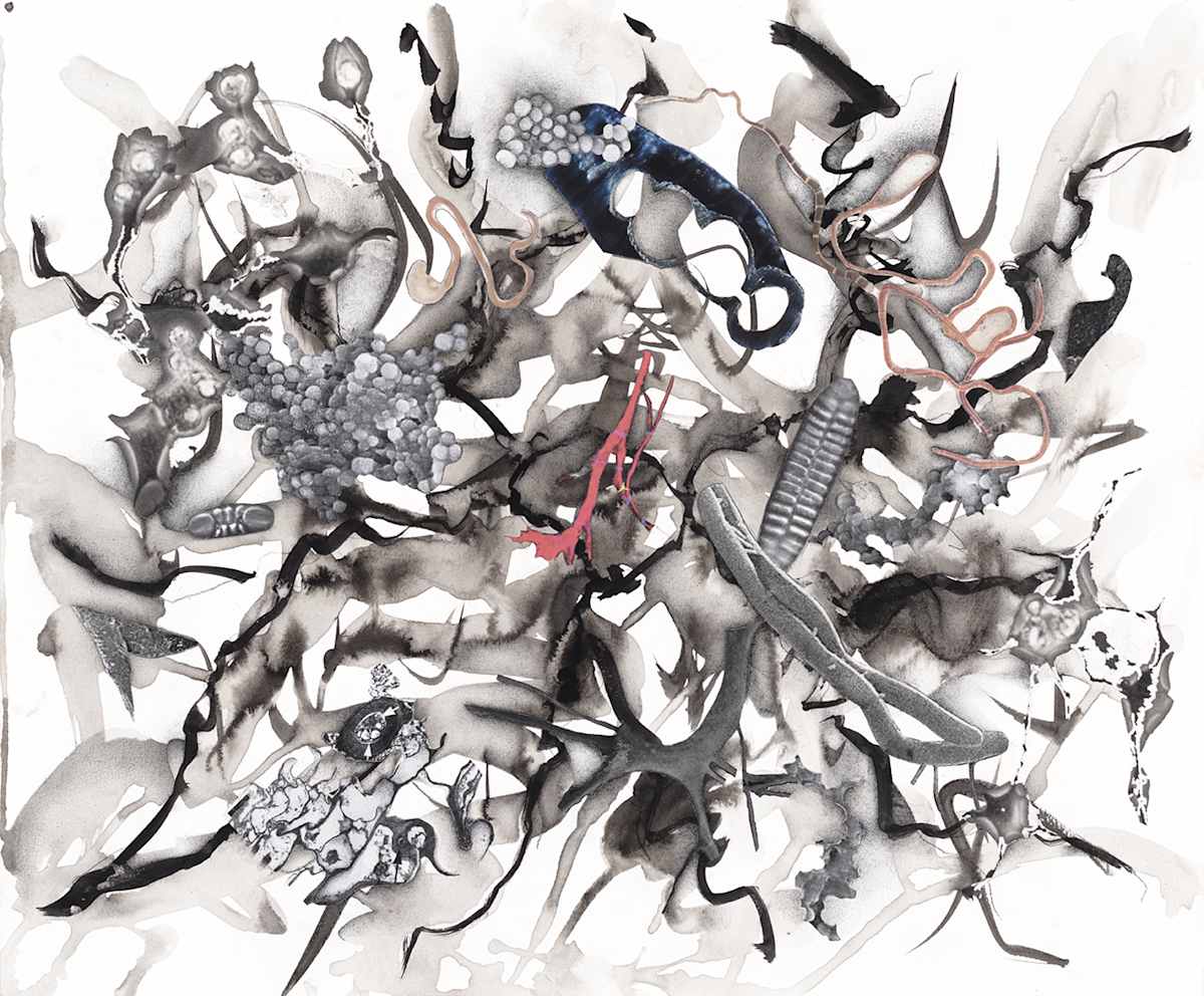 Brains 2341 by Julie Harrison, Image 1.