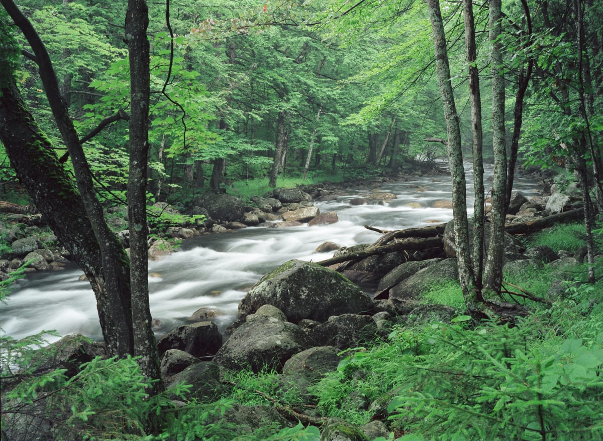 Moose River Rapids by Dan Way  Image: Moose River Rapids by Dan Way