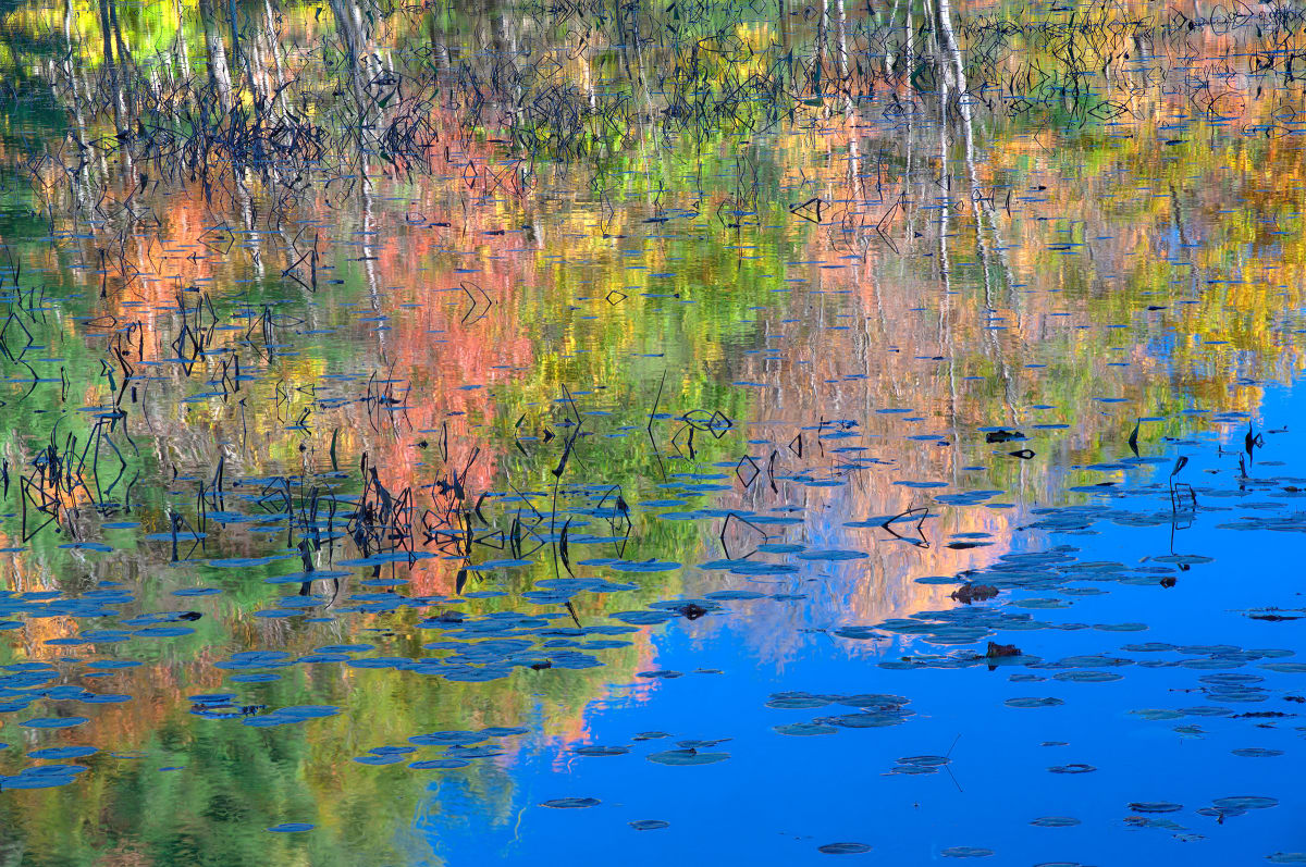 Reflections on Jenny Lake by Gary Larsen  Image: Reflections on Jenny Lake by Gary Larsen