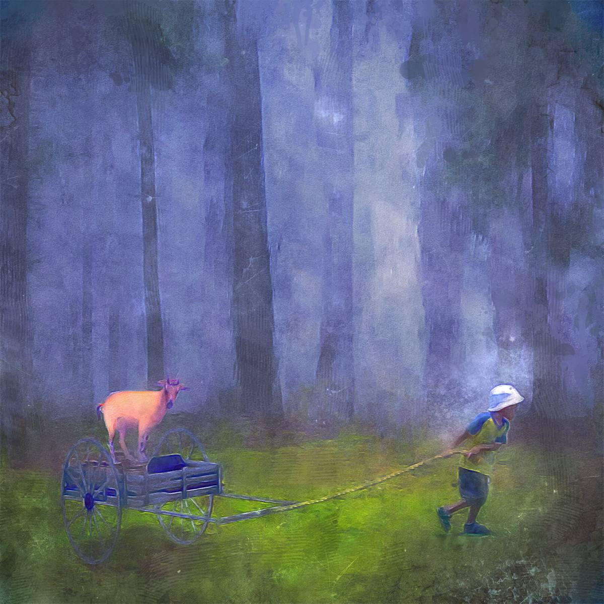 The First Test by Jennifer Armstrong, Image 16.