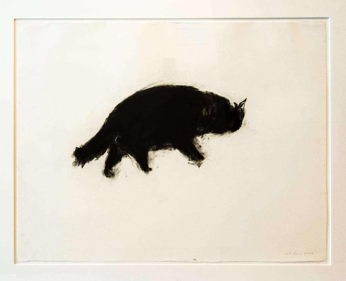 Black Cat by Bruno Laverdier  Image: Black Cat by Bruno Laverdier