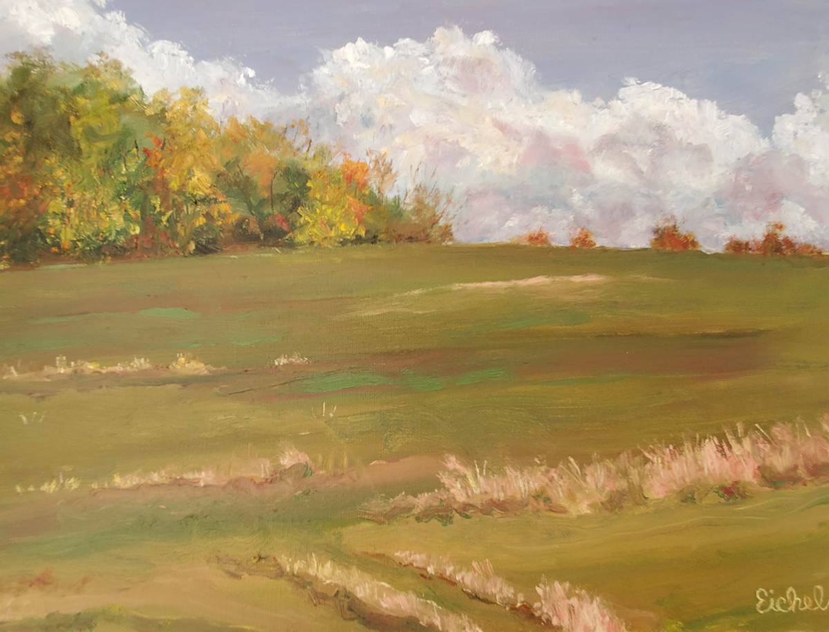 Landscape 11 by Stu Eichel, Image 3.