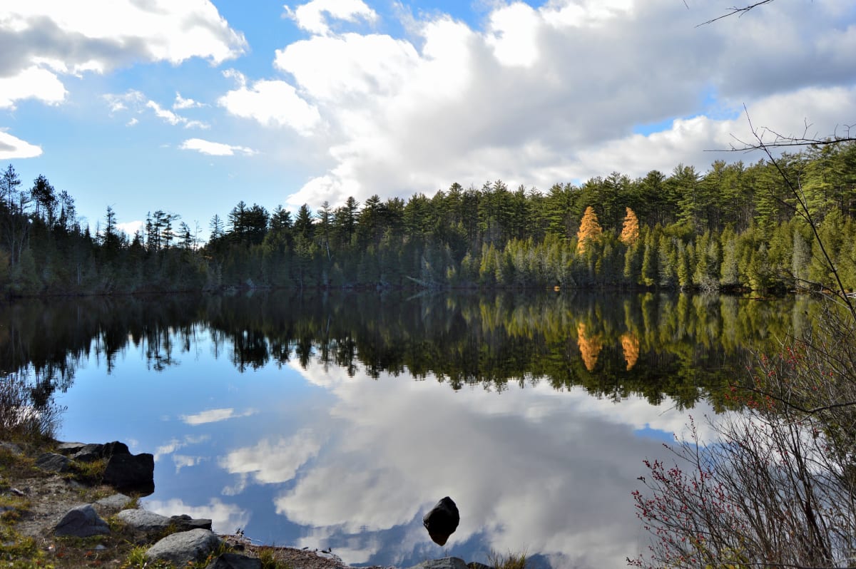 Parallel Universe, Hammond Pond by Stephanie Gabris  Image: Parallel Universe, Hammond Pond by Stephanie Gabris