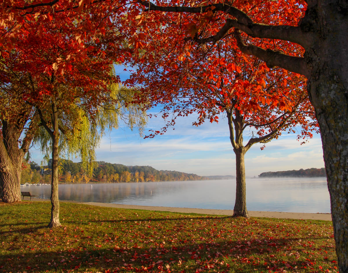 Morning Mist by Patricia Garrett  Image: Morning Mist by Patricia Garrett