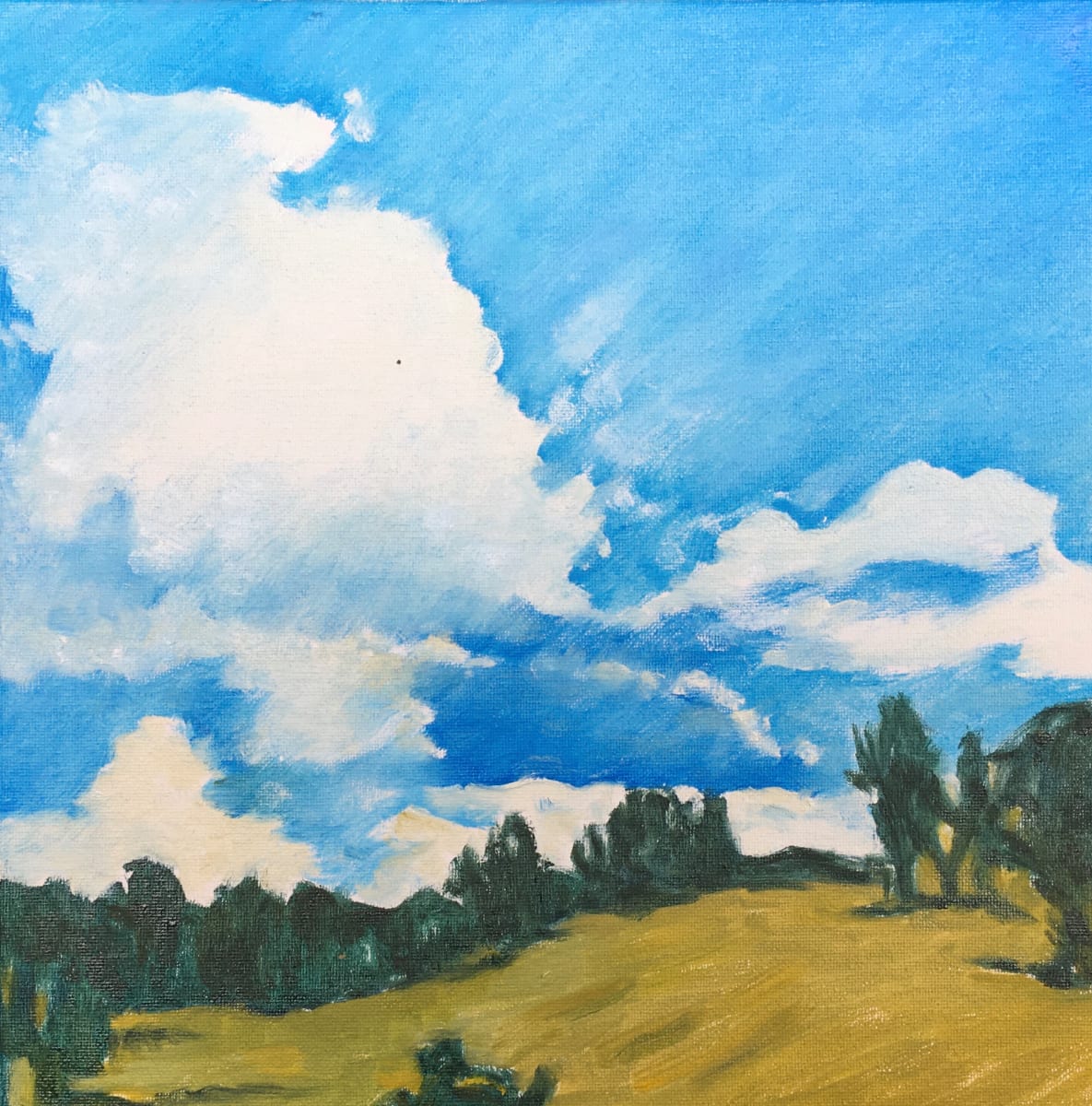 Gathering Clouds by Susan Miller  Image: Gathering Clouds by Susan Miller