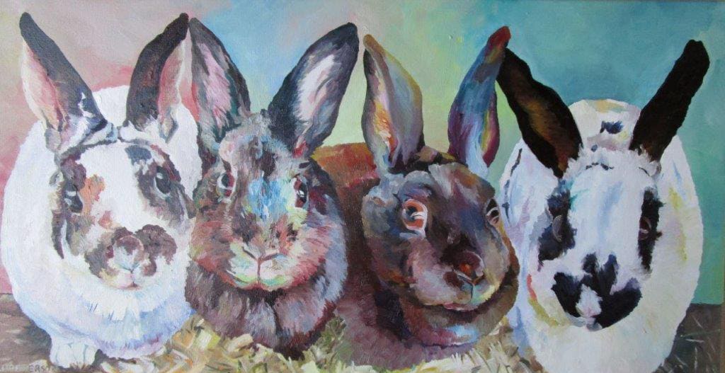 Rabbits Don't Trust You by Linda Peterson  Image: Rabbits Don't Trust You by Linda Peterson