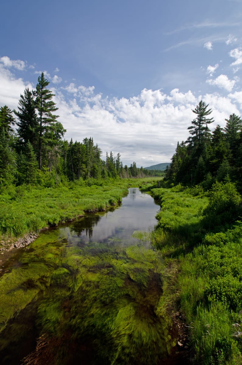 Stream Near Dillon Park by Dan Way  Image: Stream Near Dillon Park by Dan Way