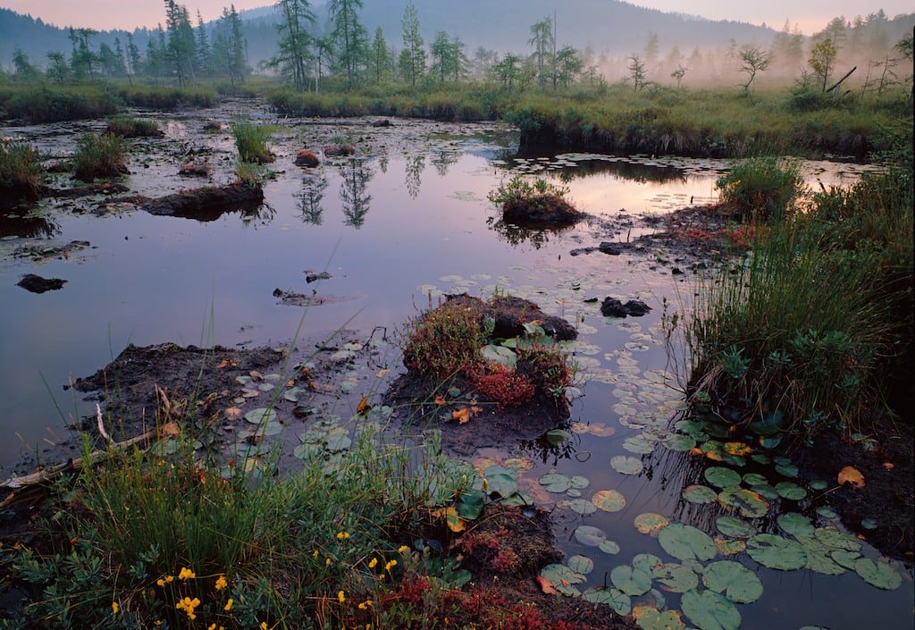 Weller Pond Outlet by Nathan Farb  Image: Weller Pond Outlet by Nathan Farb