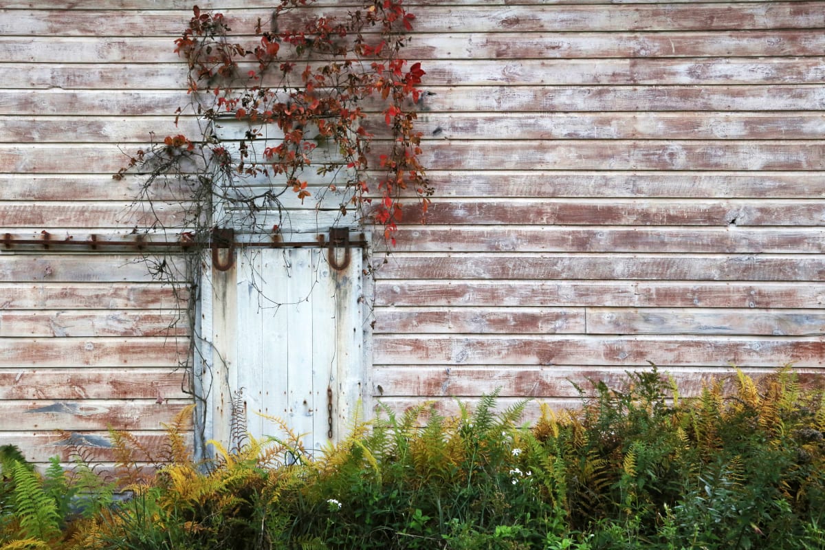 Barnside by Laura Seldman  Image: Barnside by Laura Seldman