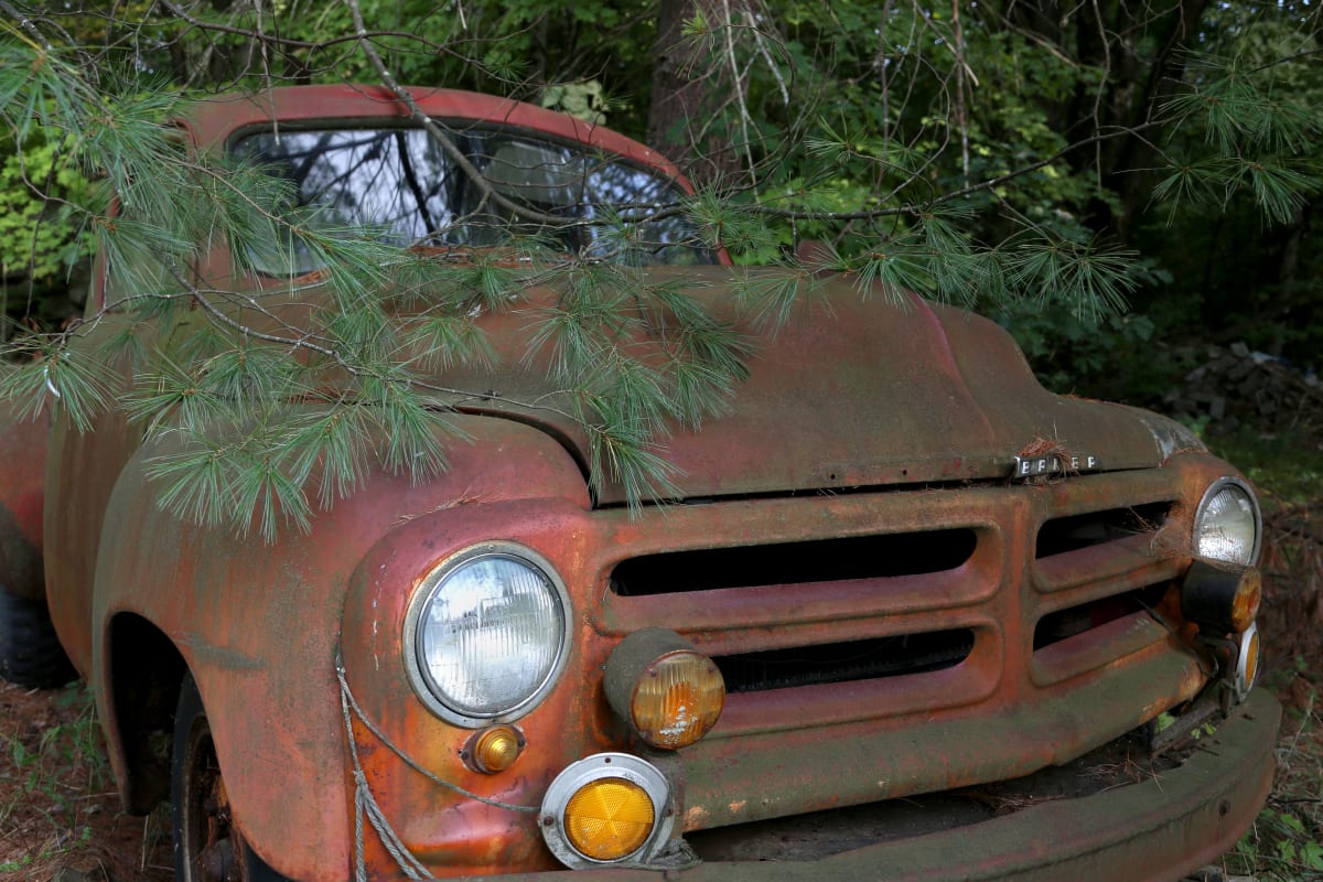 Truck in Woods by Laura Seldman  Image: Truck in Woods by Laura Seldman