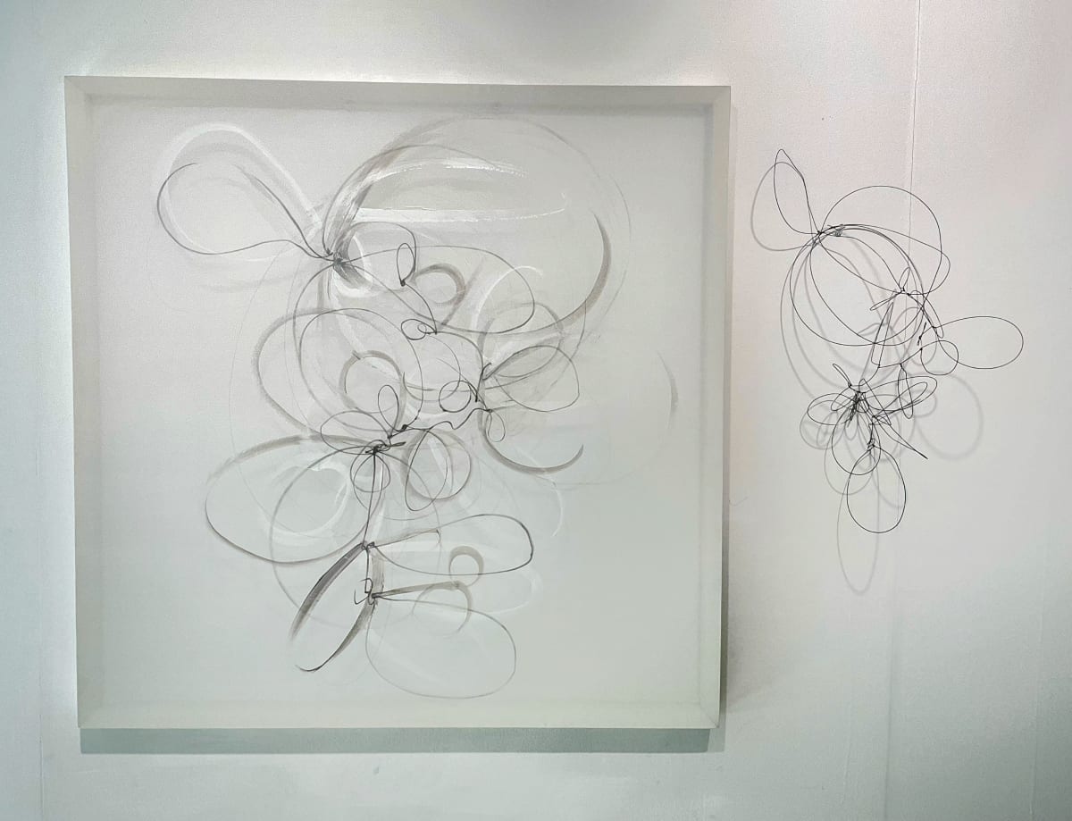 Wire and its shadow on transparency by Melissa McDonough, Image 1.
