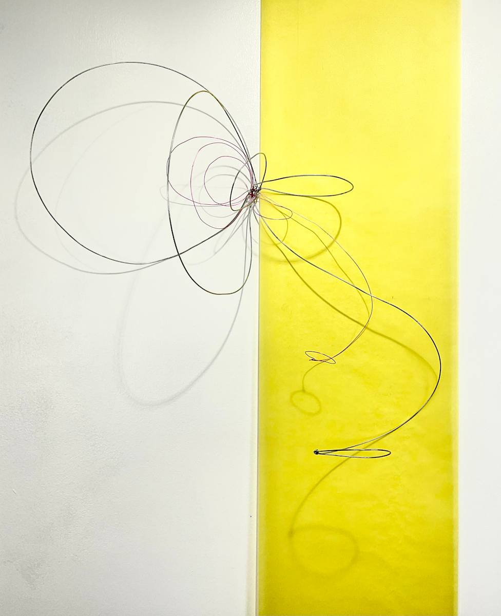 Summer Installation- Lightly by Melissa McDonough, Image 1.