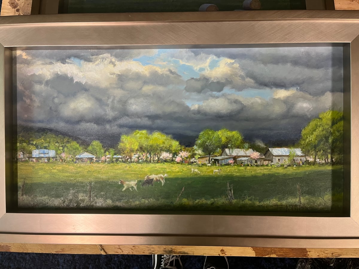 Cave Springs Morning by Tim Tyler 