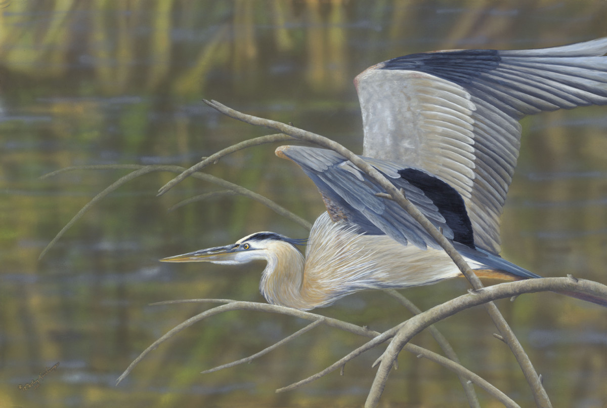 Breeze Through the Trees by Cindy Sorley-Keichinger 