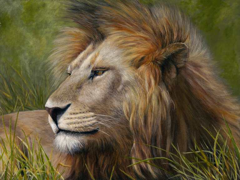 Confidence by Cindy Sorley-Keichinger, Image 1.