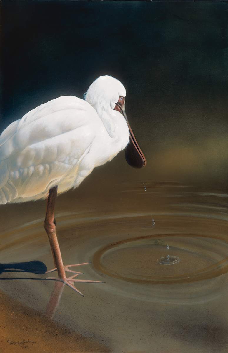 Contemplation by Cindy Sorley-Keichinger, Image 1.