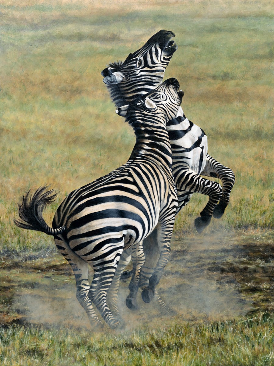 Contested  Image: When we were in Kenya and Tanzania, we were lucky to be there in the breeding season.  Lots of babies, and lots of mating behavior.  Case in point, the zebra stallions were putting on quite the show.