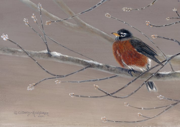 Early Bird by Cindy Sorley-Keichinger 