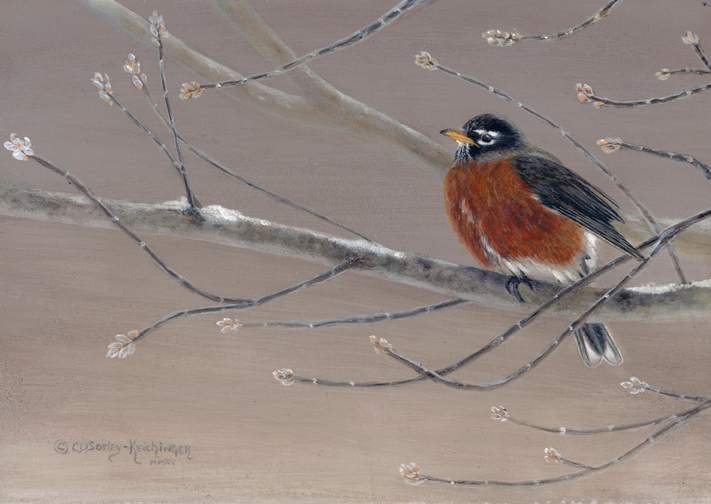 Early Bird by Cindy Sorley-Keichinger, Image 1.