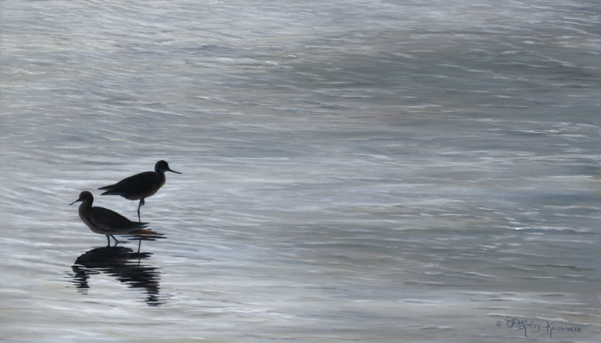 Morning Silhouette by Cindy Sorley-Keichinger 