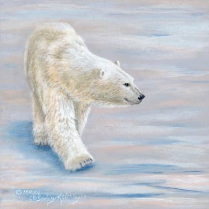 Polar Stroll by Cindy Sorley-Keichinger 