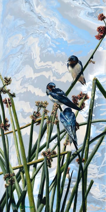 Swallow Dream, Image 1.
