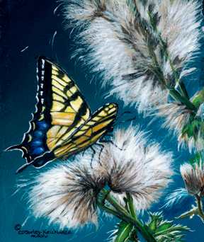 Thistle down by Cindy Sorley-Keichinger, Image 1.