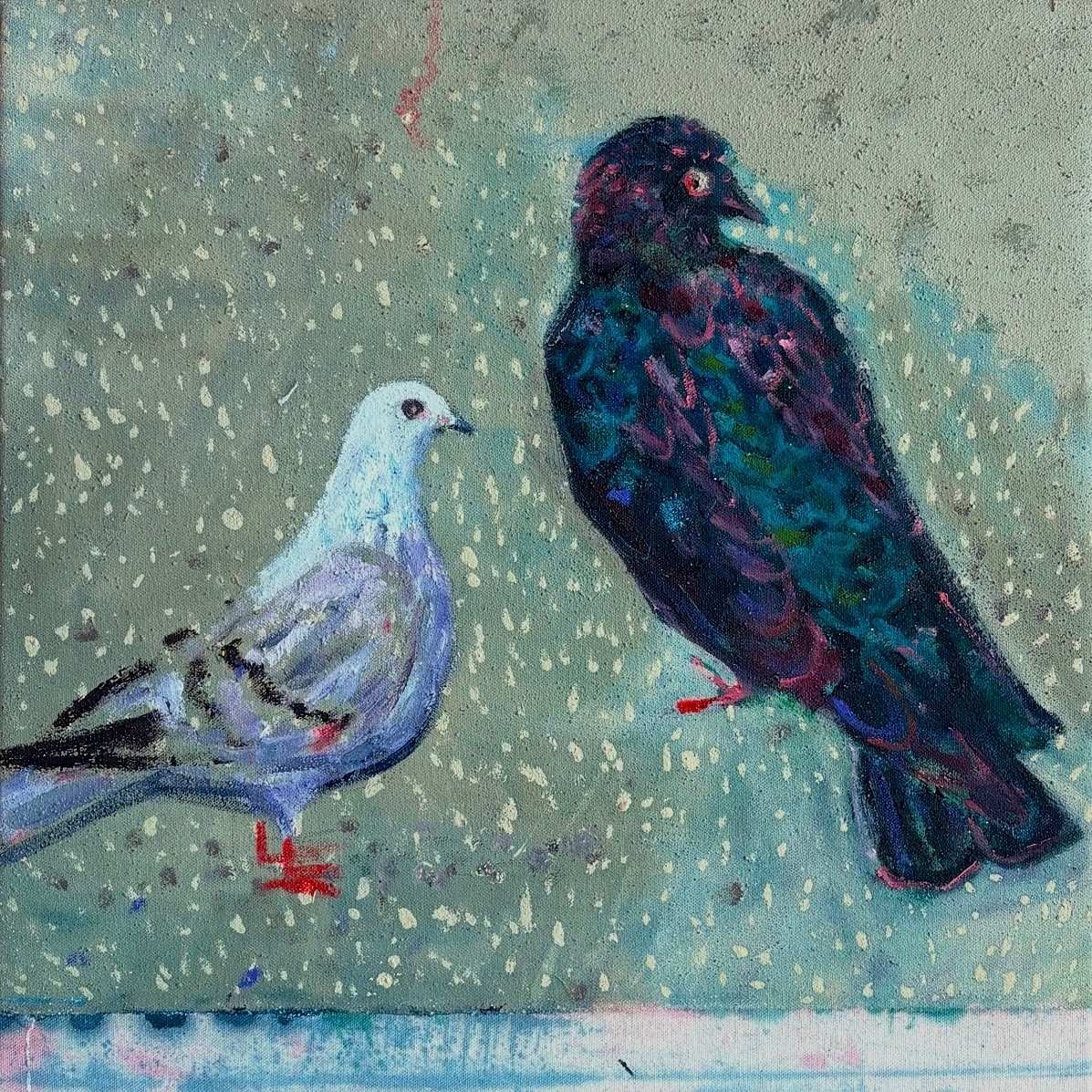Pigeons by Adam Baker, Image 1.