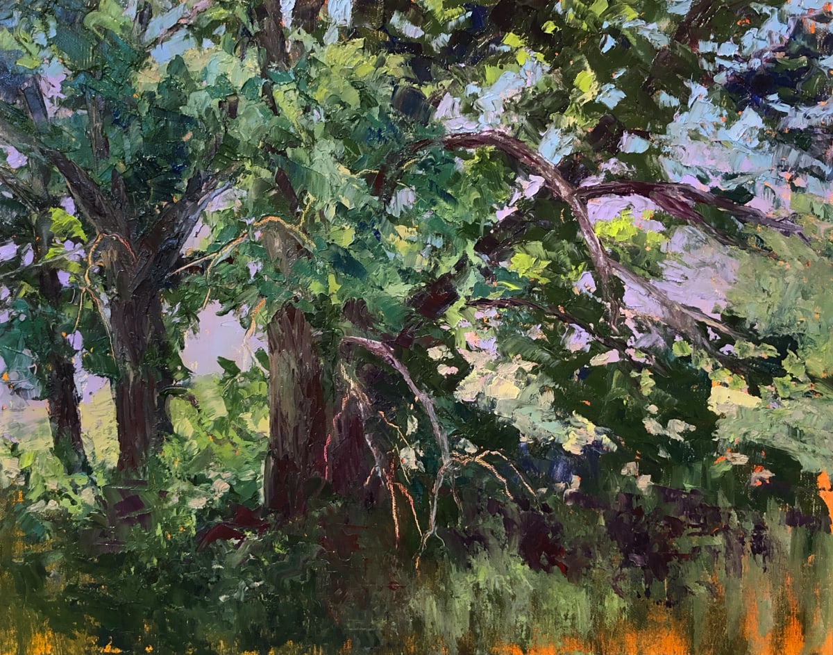 Beauty of Oak Trees by Marsha Hamby Savage  Image: Beauty of Oak Trees, 11"x14" Oil
