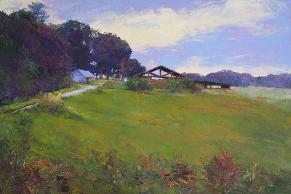 Fields Of Hope by Marsha Hamby Savage 