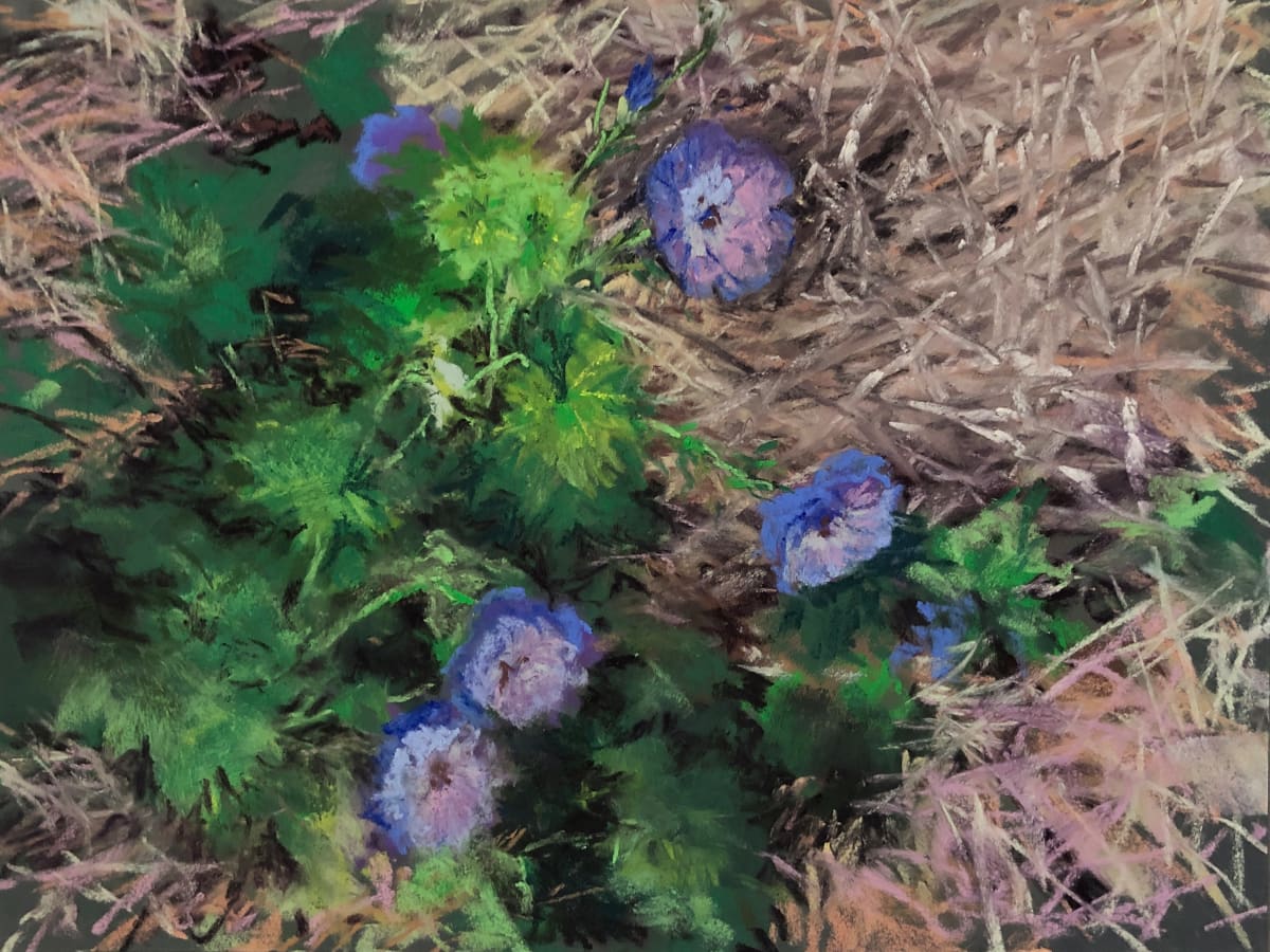 Cranesbill Geranium by Marsha Hamby Savage 