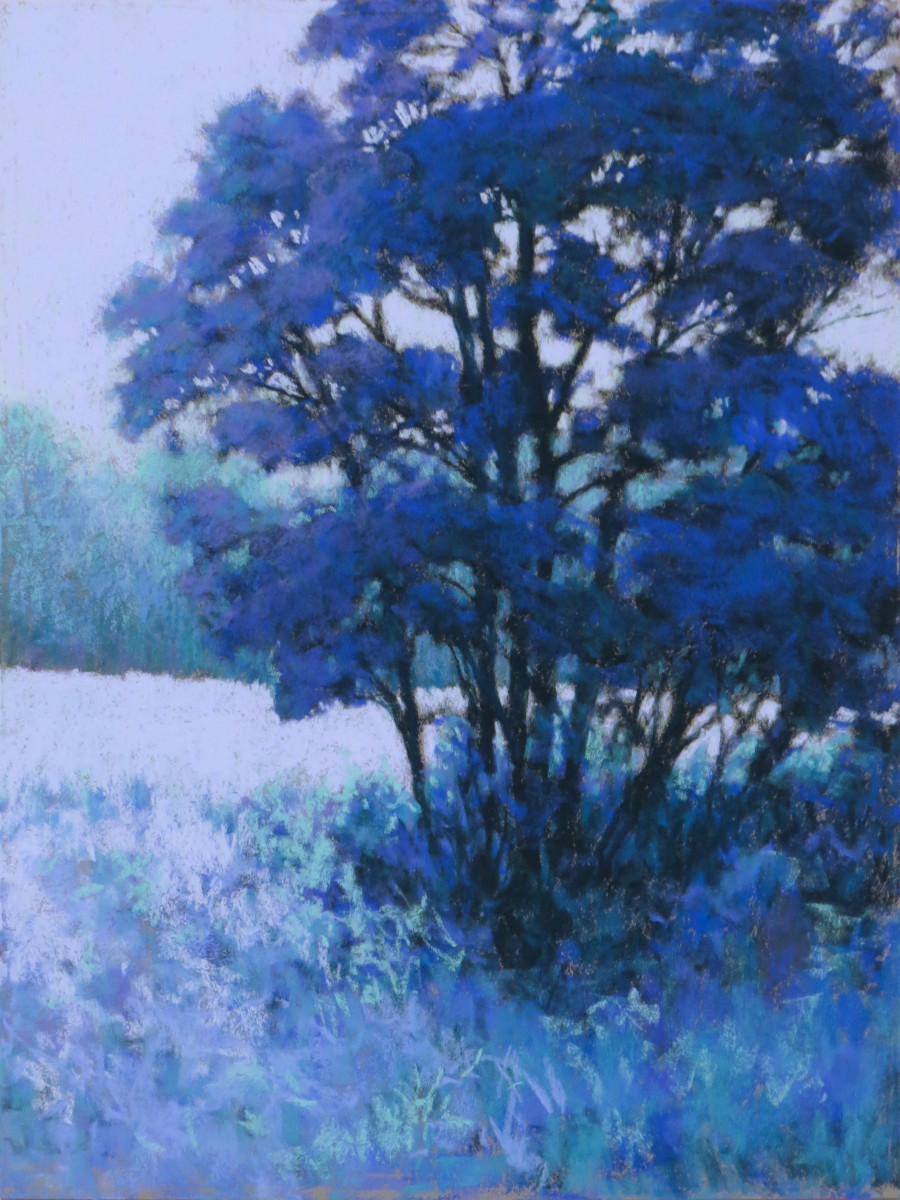 Blue Dogwood by Marsha Hamby Savage 