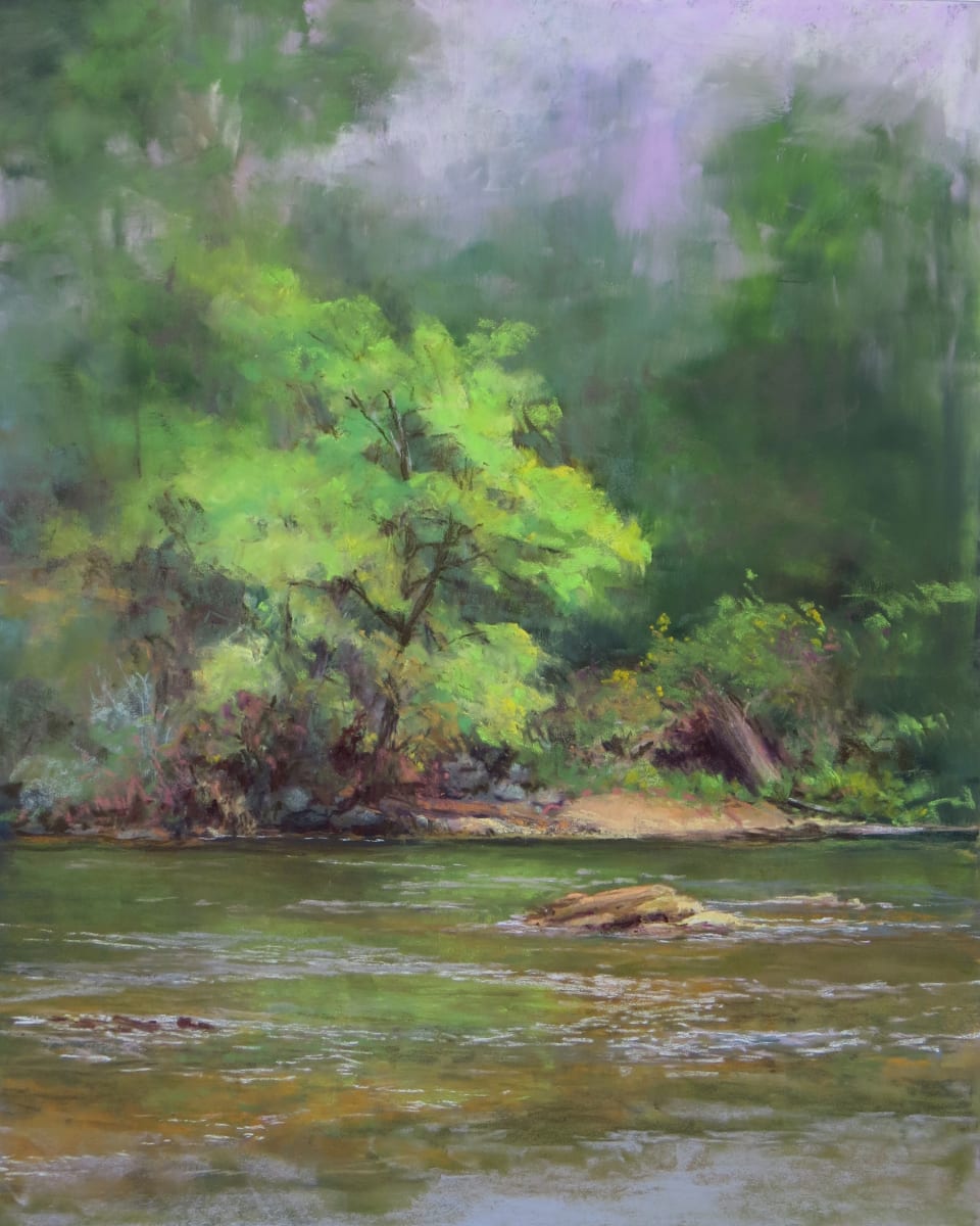 Rising to the Sun by Marsha Hamby Savage 