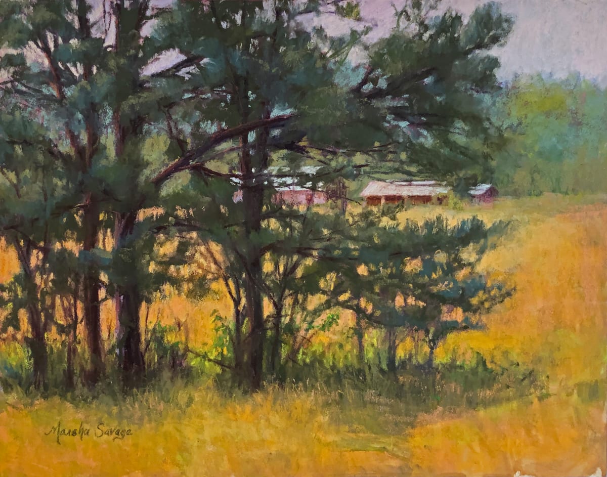 Pine Tree Oasis by Marsha Hamby Savage 