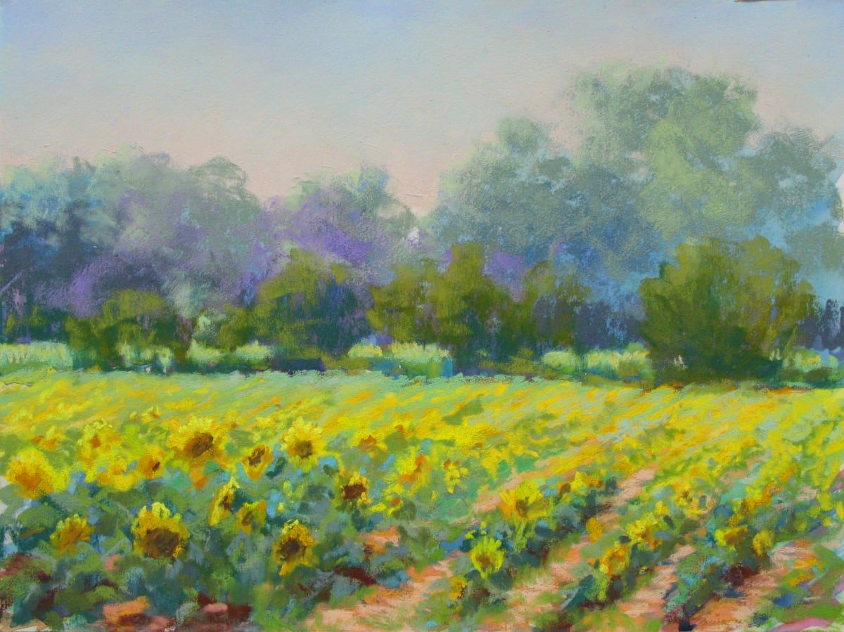 Sunflowers By the Dozens  Image: Sunflowers By the Dozens, Pastel Plein Air