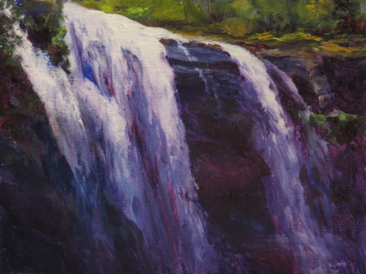 The Falls Rumble by Marsha Hamby Savage 