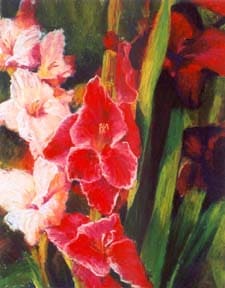 Glads Happy  Image: Glads Happy, Pastel From Life 10" x 8"