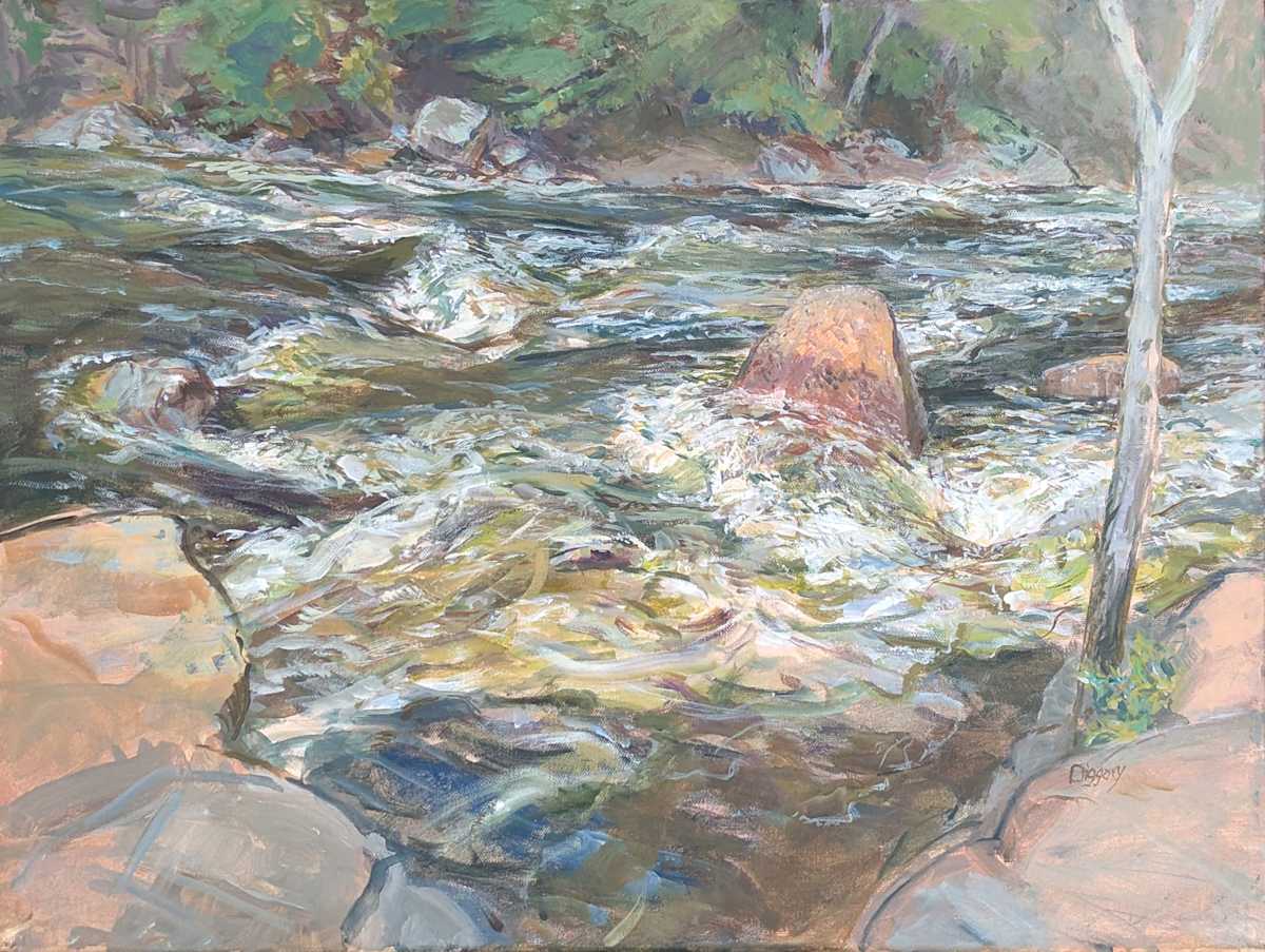 Ausable Abundance by Anne Diggory, Image 1.