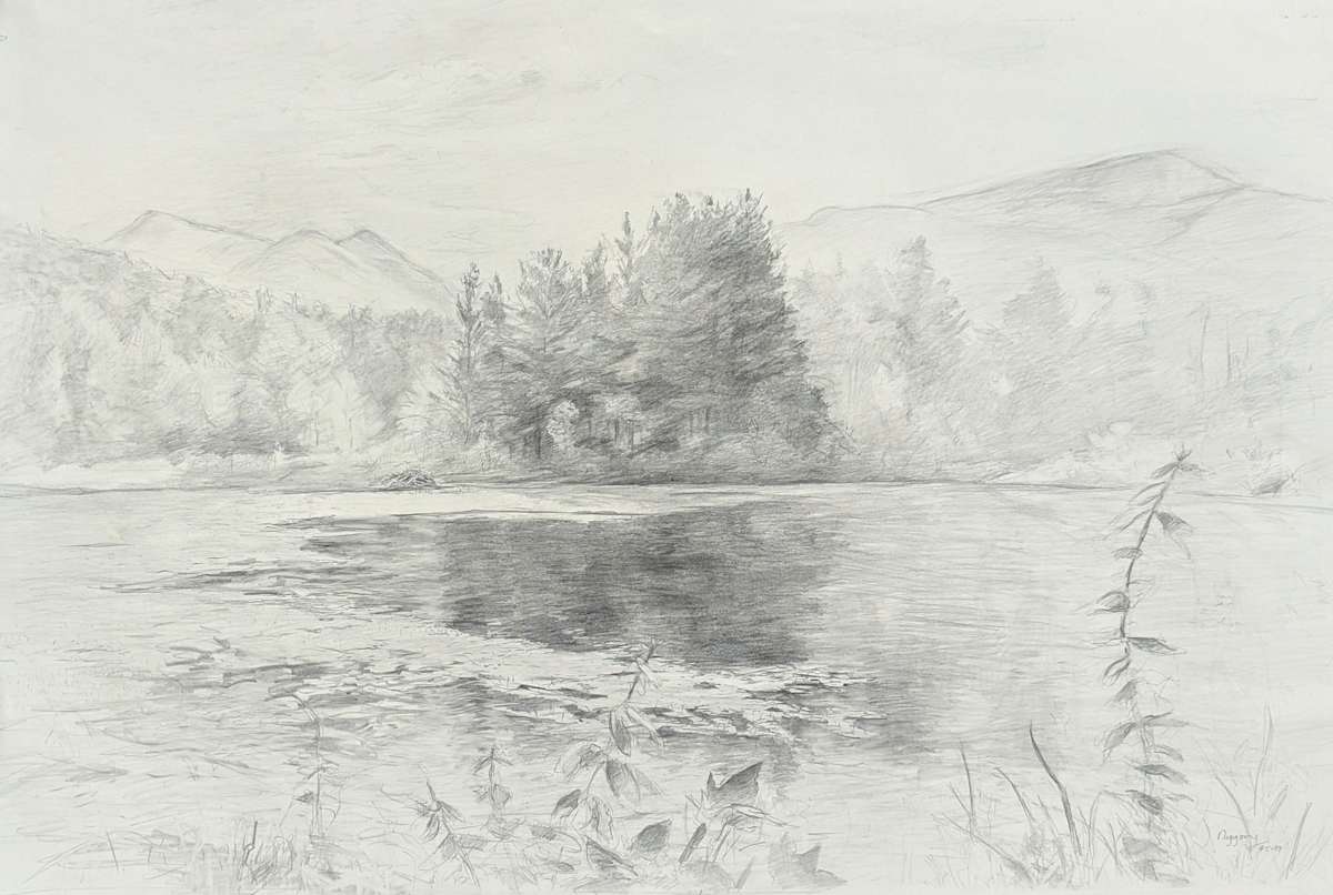 Beaver Pond by Anne Diggory, Image 1.
