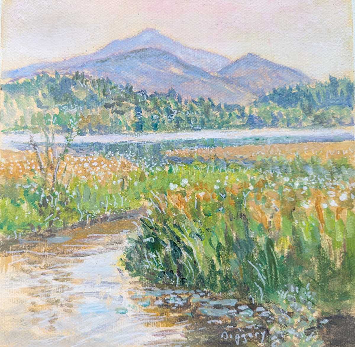 Connery Pond Sunrise by Anne Diggory, Image 15.