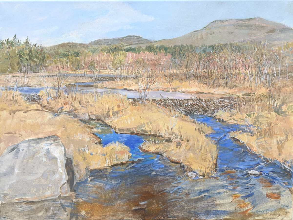 Construction Sight by Anne Diggory, Image 17.