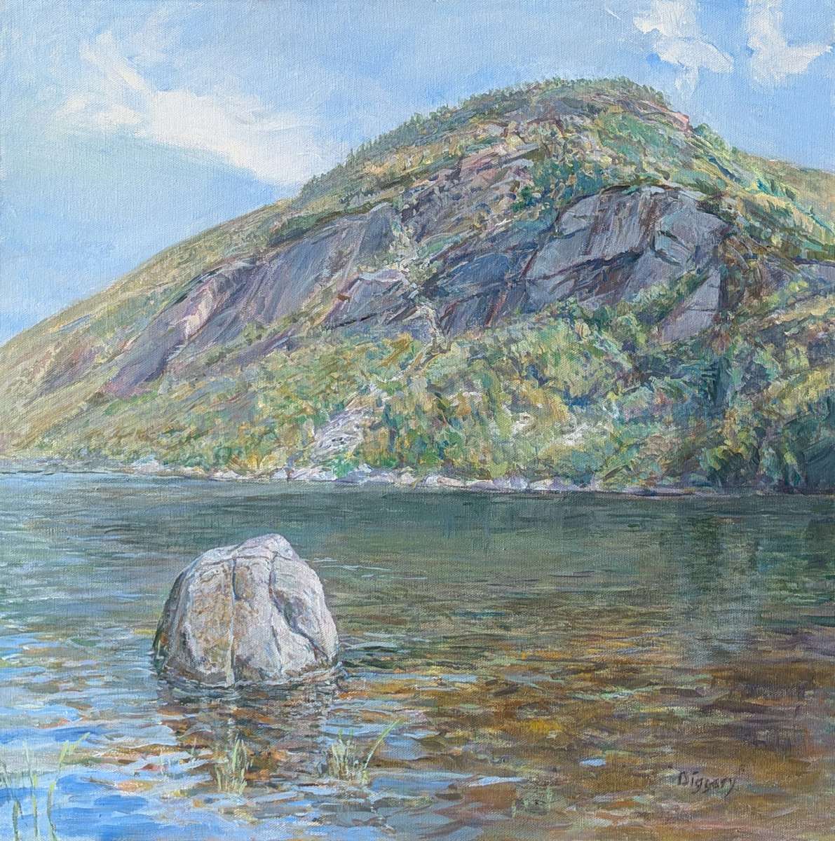 Shore Lines, Lower Cascade Lake by Anne Diggory, Image 17.