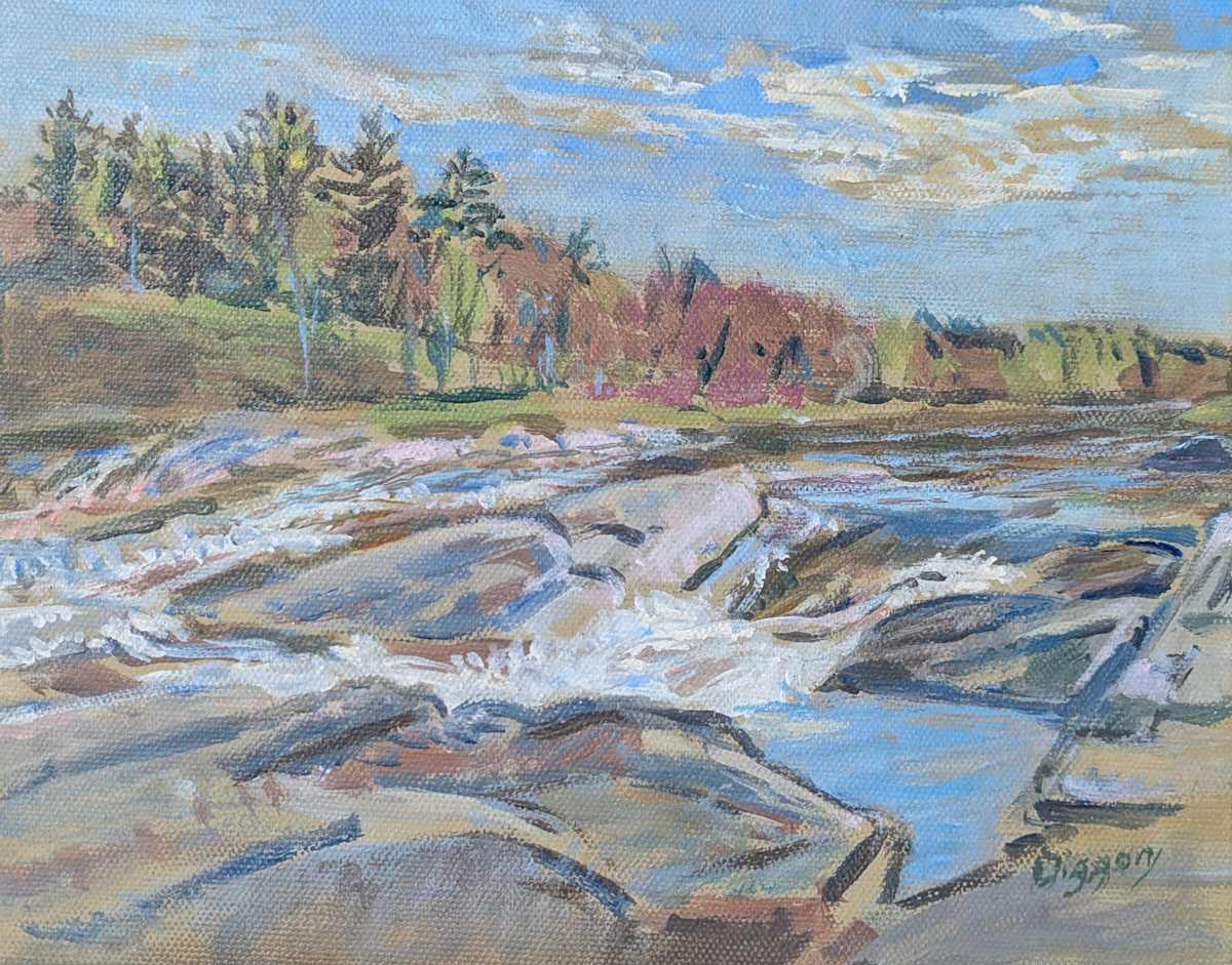 Summer Rapids by Anne Diggory, Image 10.
