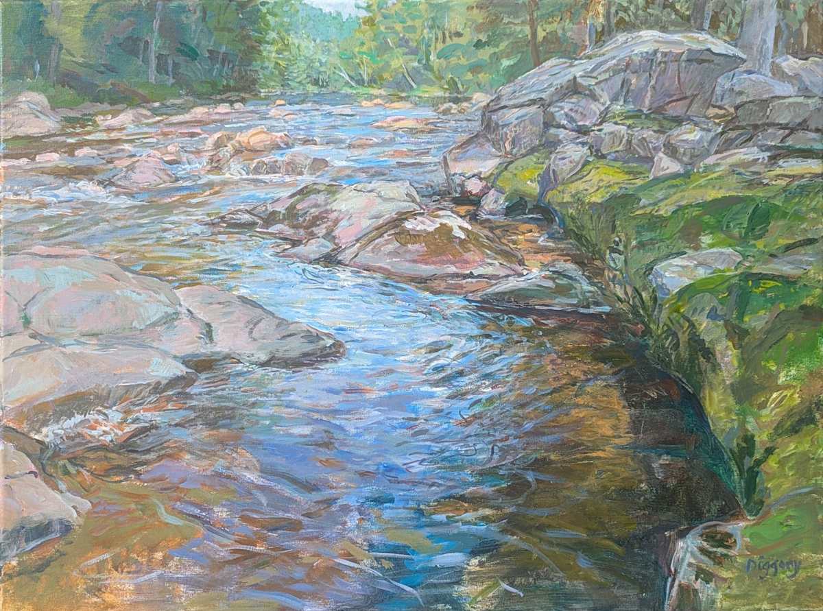 Ausable Pool by Anne Diggory 