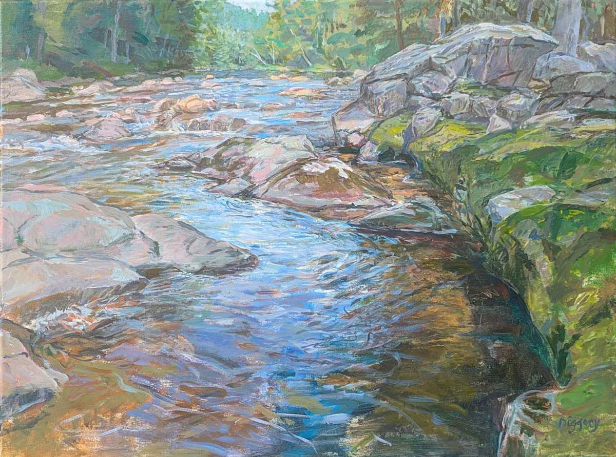 Ausable Pool by Anne Diggory, Image 19.
