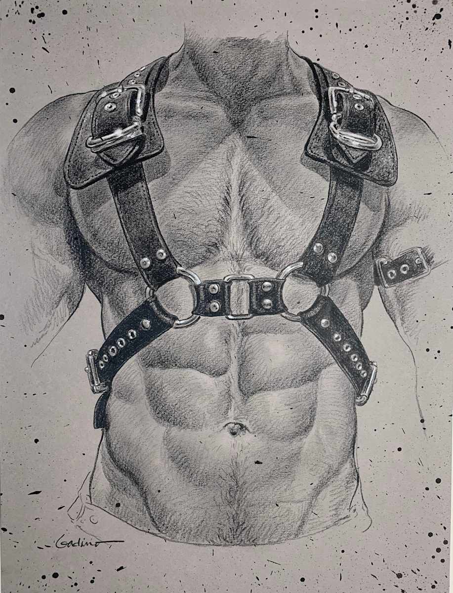 VG 29 Harness by Victor J Gadino, Image 1.